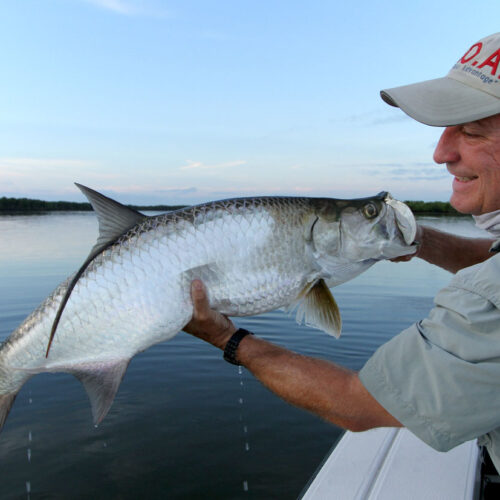 myers-tarpon-1200