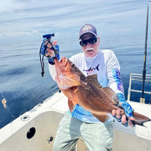 red grouper