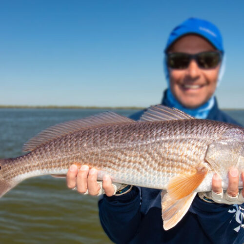 redfish-mosquito-lagoon-800