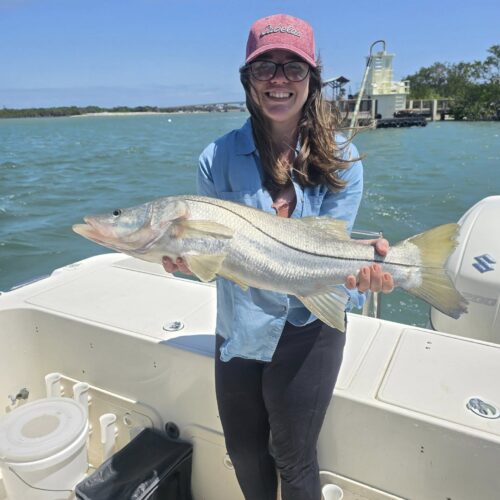 snook 2