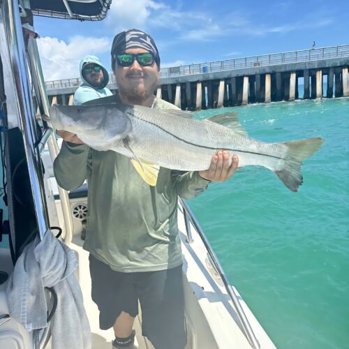 snook 3