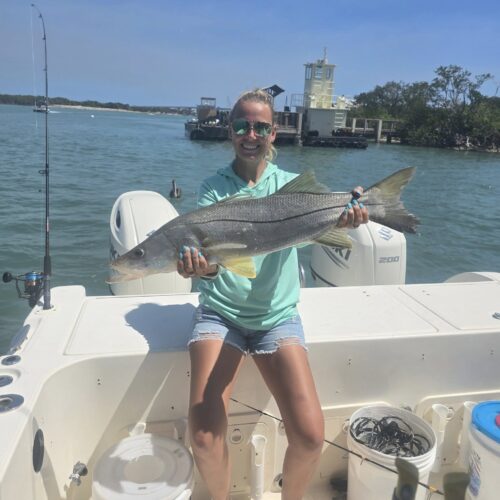 snook