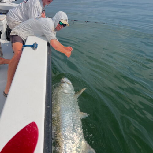 7B2420F2-9776-48ED-8954-B21056A55FCD