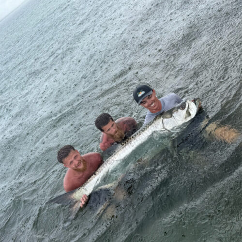 C1F8F7A9-8A0E-47FE-84E8-B867CD733876