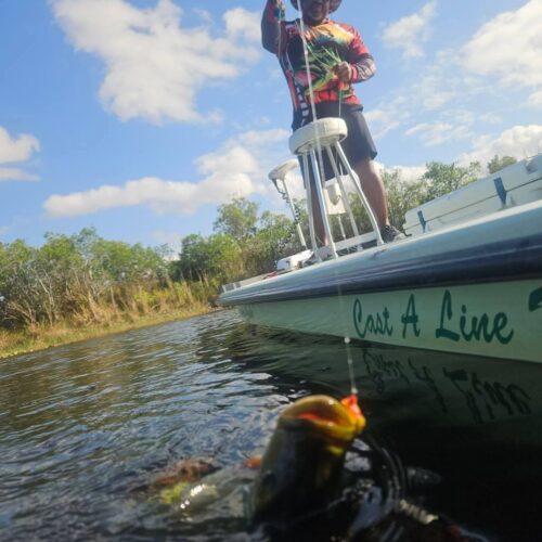 FB_IMG_1761057470757