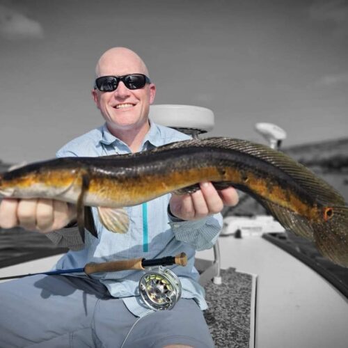 FB_IMG_1761057545681