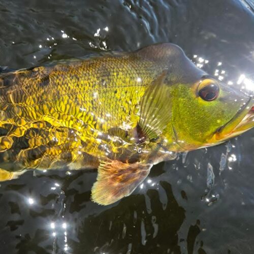 FB_IMG_1761057560712