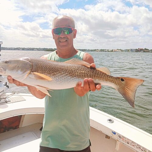 IMG_20240619_150053_105