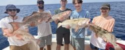 Westbound Sportfishing