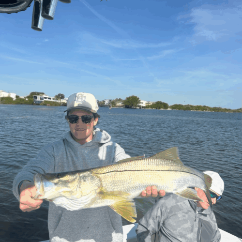 Photoroom_20250407_093326