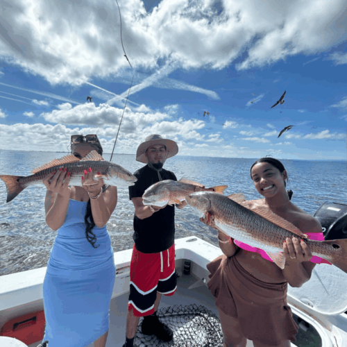 Photoroom_20250901_173350