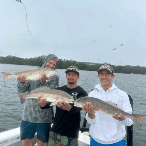 Photoroom_20250909_131828