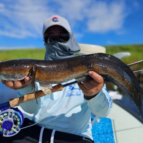 Screenshot_20251012_200209_Gallery