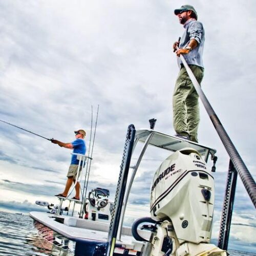 44775376_10213307544346361_1818878934293413888_n