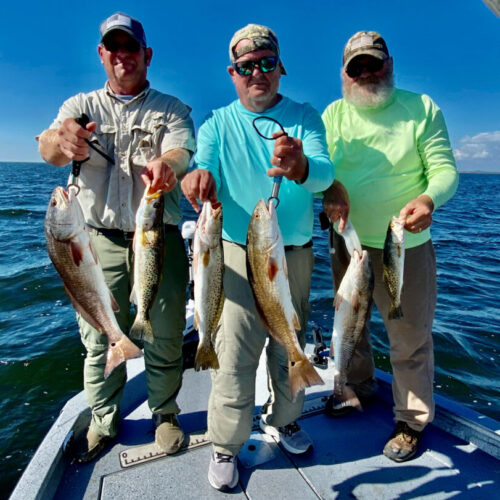 C6D1FFEC-6F40-4B3A-95A0-DC6137F46706