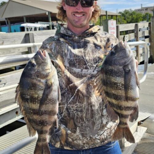 Messenger_creation_7142B95B-04F1-474E-B67B-A5E1E844AB23