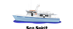 Sea Spirit Deep Sea Fishing