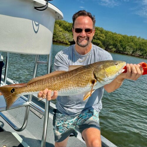 att.8X9XWJgSUNsug0_LhaYzwpgfPyZ8N-WLEQWRQ1rMUyE