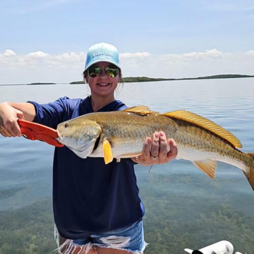 att.CZGdLBReVH_83AQDEsZh17_VfvKyXBoJKd5s2Fv5bX8