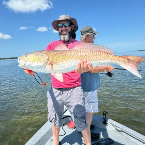 att.E67-hGNMWbCpVsbJrkyPJEnut_VhaVEIwAE1IfuiN1A