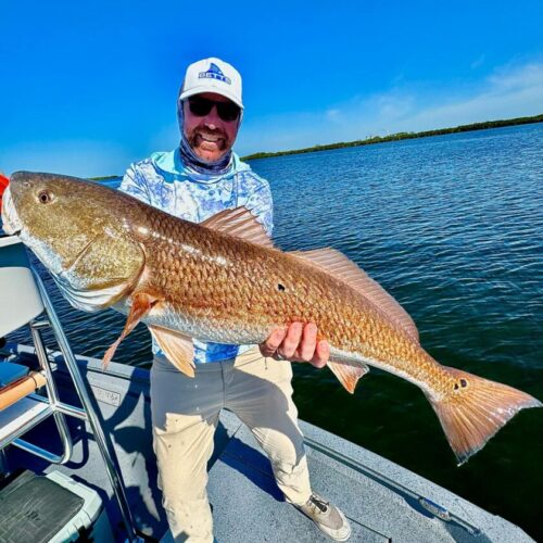 att.F81QHlWa-hRPAGc5L3ApGjZ5pgrq7ktlq4Xx5QiHtb0