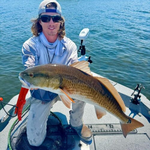 att.RF-xoM_ACLZIo5Yq6GjVk_F1KCam5y_yOFWGn_Yjkkw