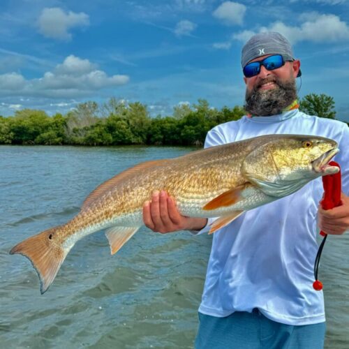 att.X9tahauMHoKvGr5Nd6nCFz4jVbHWLAmMv4t3IwtGojA