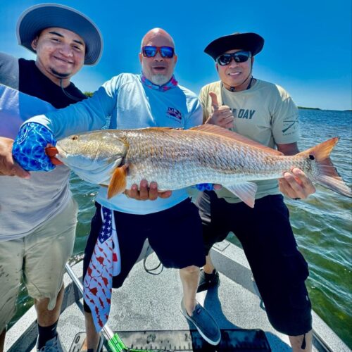 att.Zp_Ui0BtqbJ3T1r-Y6lP8QfYW1-zVPQAKZ3ozo0weJ0