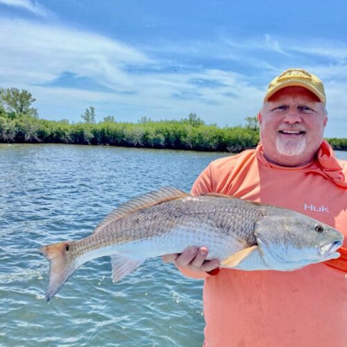 att.qMNQxz167C69NIJtcHQ2Fj9FKrzbOj-oDy5VFvxXNik