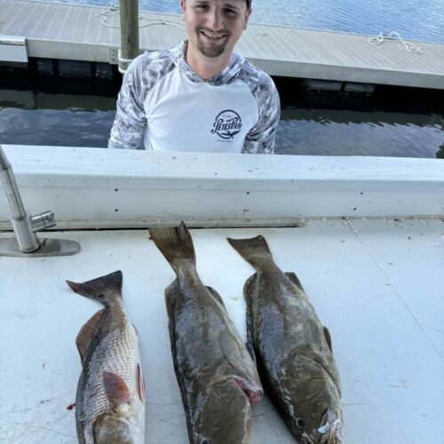 att.r3O68HMsGLVeW0NXMfxtgSRNGU9wfpKVwdmTX22YGZE