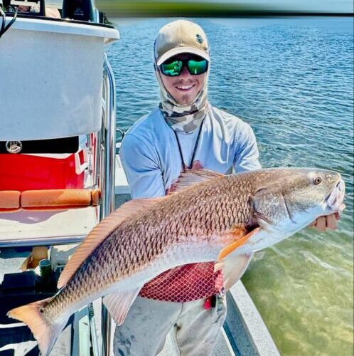 att.u3C1IYdVUxxplkxBlkwUVsQUwBPXuKgXehWoncaJQ-g