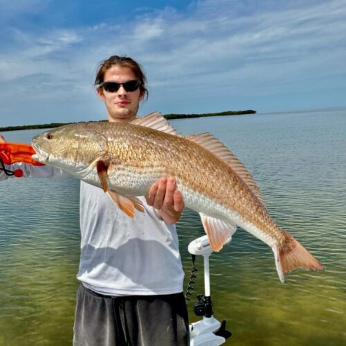 att.uN3jKbY61Rw8nD1TeGs3vusK50T_gpYQ-iCKj4a3IhQ