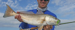 Inshore Adventures Fishing Charters