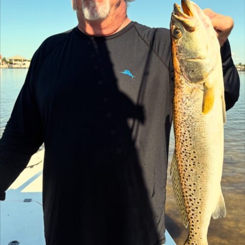 43F8223D-BED4-4956-889B-0DFCDA621EFD