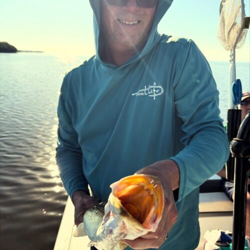 5687D623-92BC-4DC9-BCAB-CD772837A0E5