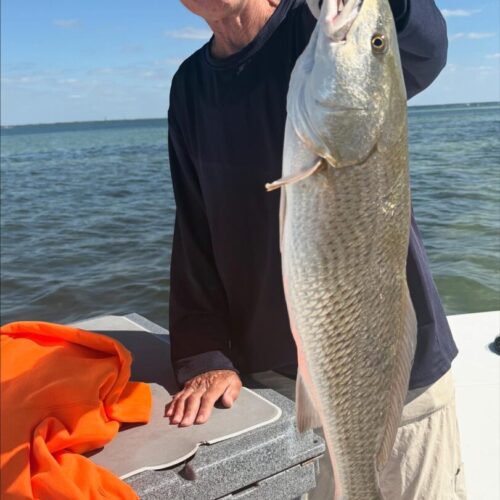 68F84FAA-8987-46E9-AD20-DE2BE2A22CBB