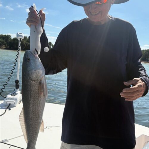 9D5DC8B4-6C78-4E6C-A825-73D5A5420EFC