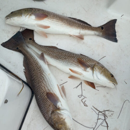 CjUKMVNuYXBjaGF0LzEzLjY0LjMuMCAoaVBob25lMTcsMTsgaU9TIDI2LjAuMTsgZ3ppcCkgAg==