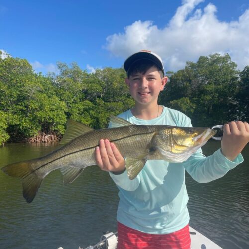 0CBC0433-BB05-4414-9994-B7DF84A568BF