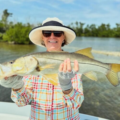 3FFD8C83-6AFE-4FD9-9D8F-1C02E634B0BC