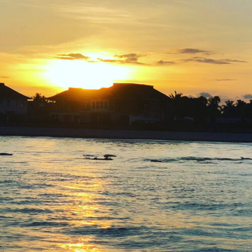 40F2C743-8566-45C6-95C8-6167AF619118