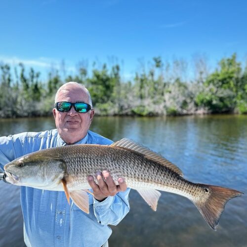 496A9C6B-9A03-462E-8BA8-4460FF5C8151