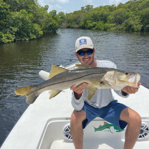 6C792C40-A8F4-440A-88A3-331015D8A606