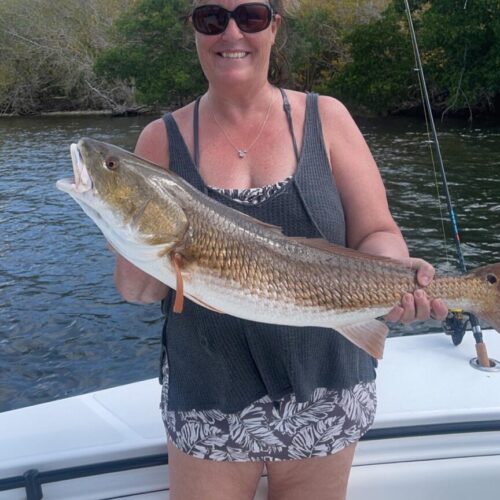 7416520F-AE61-4C43-A527-11DC109E11E6