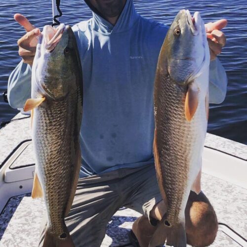 872A6A02-3DBA-451C-91B4-BA060D266ED7