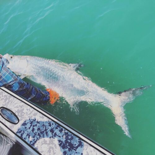 8E5682C5-D401-474F-A329-526EC7977C25