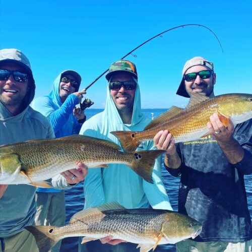 B0C6F509-2960-43D8-8D82-E2973B86D1B7