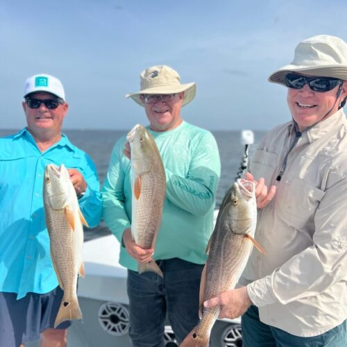 C5524DD0-C3A3-4BC3-AB2E-CF5CF1E91FCE