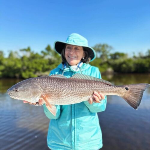 D7DE948A-4690-4A61-B8EC-E3D0E0C76C4D