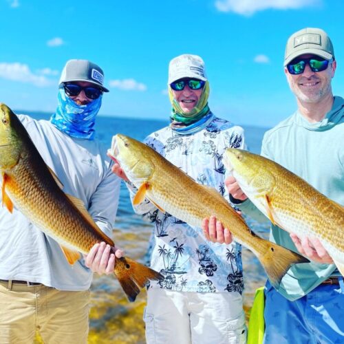 E204E222-CDBC-462F-89F0-CF720B5D9D58